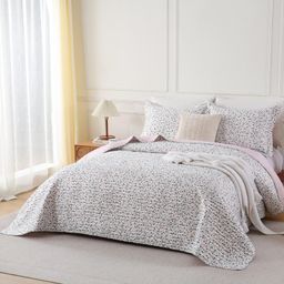 Kit Colcha Cobre Leito Dohler Dupla Face Toque Macio Tamanhos Variados